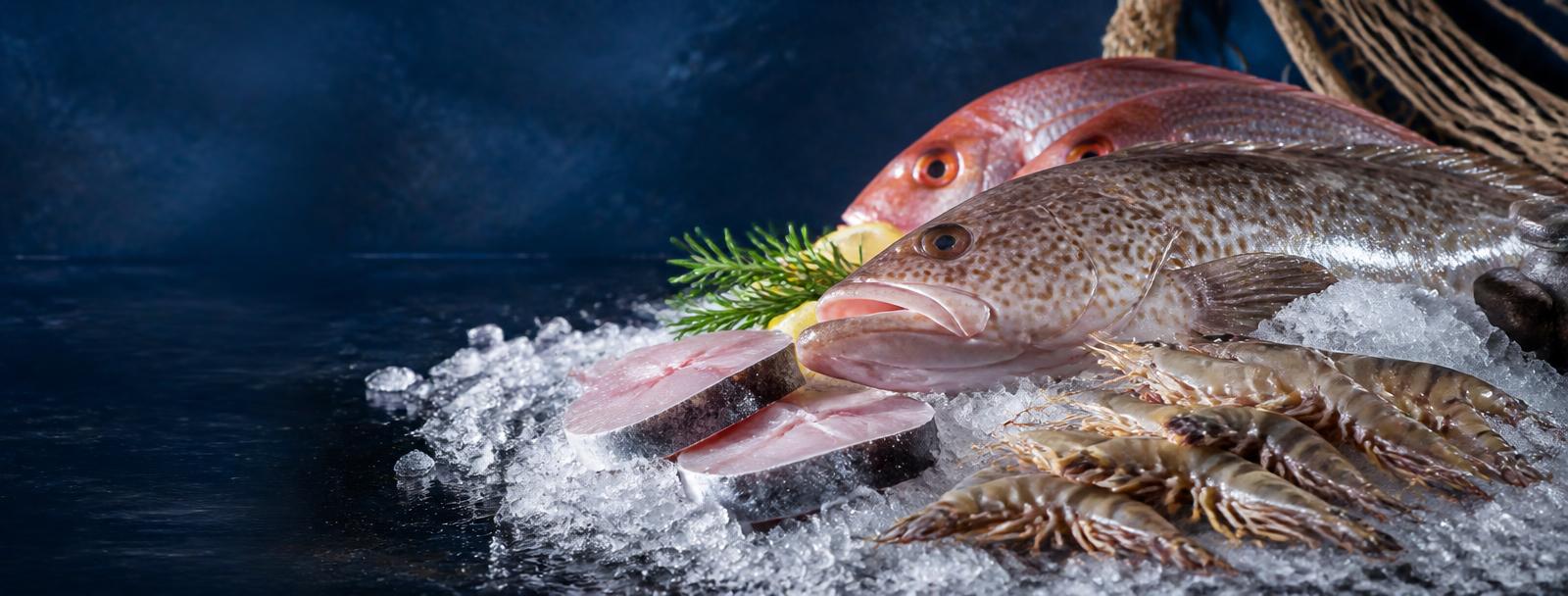 Fresh seafood