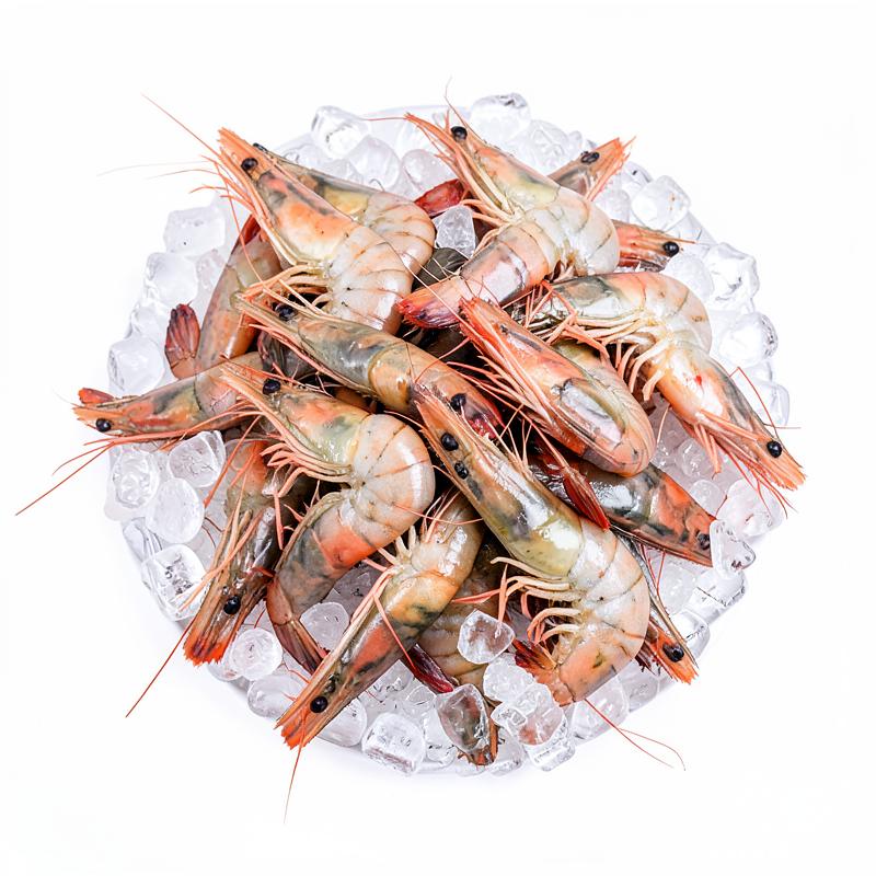 5 Easy Seafood Recipes You Can Make at Home