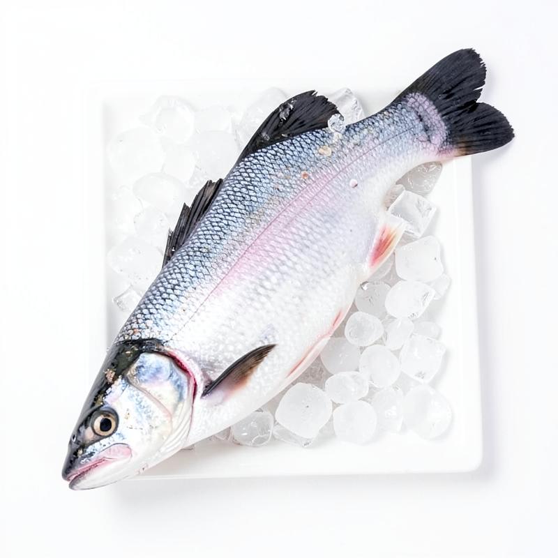 Storing Fish at Home the Right Way